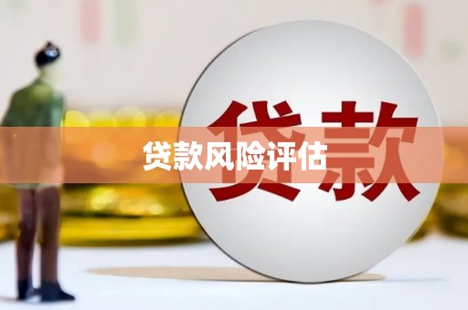 乐亭贷款风险评估