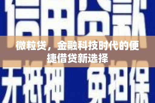 乐亭微粒贷，金融科技时代的便捷借贷新选择