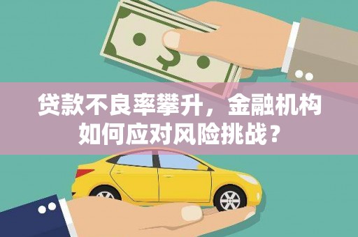乐亭贷款不良率攀升，金融机构如何应对风险挑战？