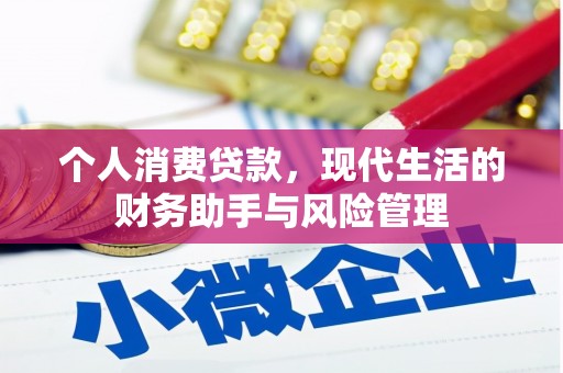 乐亭个人消费贷款，现代生活的财务助手与风险管理