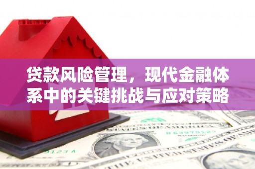 乐亭贷款风险管理，现代金融体系中的关键挑战与应对策略