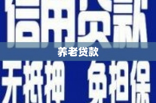 乐亭养老贷款