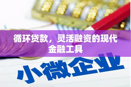 乐亭循环贷款，灵活融资的现代金融工具