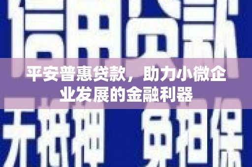 乐亭平安普惠贷款，助力小微企业发展的金融利器