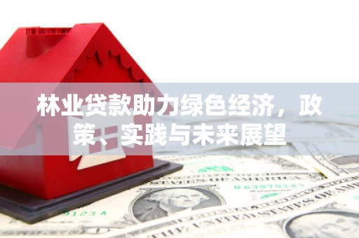 乐亭林业贷款助力绿色经济，政策、实践与未来展望