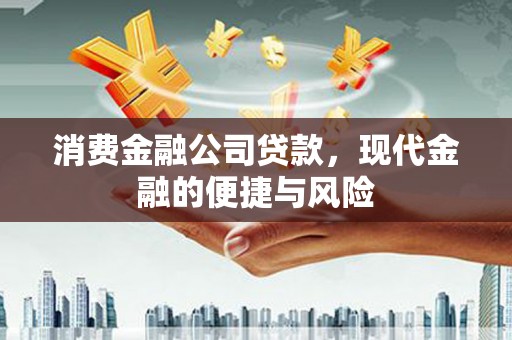 乐亭消费金融公司贷款，现代金融的便捷与风险