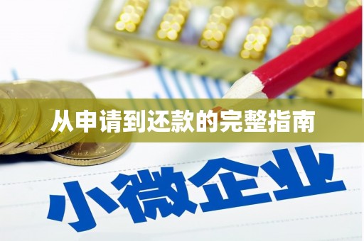 乐亭从申请到还款的完整指南