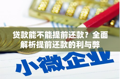 乐亭贷款能不能提前还款？全面解析提前还款的利与弊
