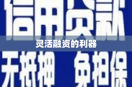 乐亭灵活融资的利器
