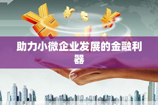 乐亭助力小微企业发展的金融利器