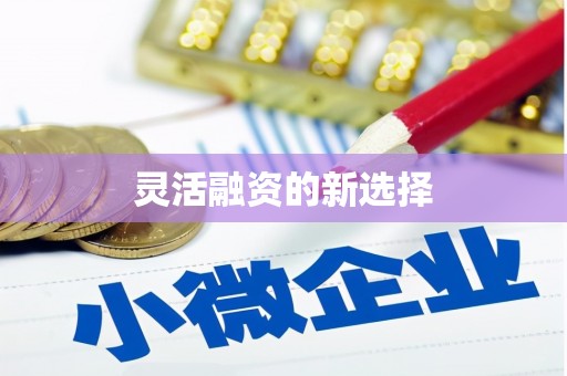 乐亭灵活融资的新选择