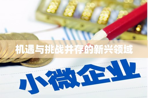 乐亭机遇与挑战并存的新兴领域