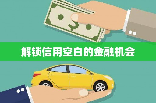 乐亭解锁信用空白的金融机会