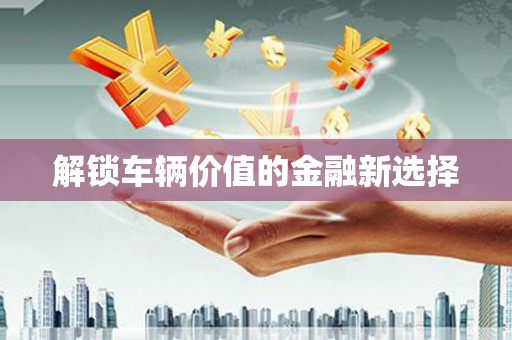 乐亭解锁车辆价值的金融新选择