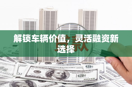 乐亭解锁车辆价值，灵活融资新选择
