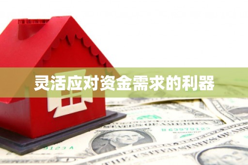 乐亭灵活应对资金需求的利器