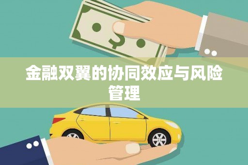 乐亭金融双翼的协同效应与风险管理