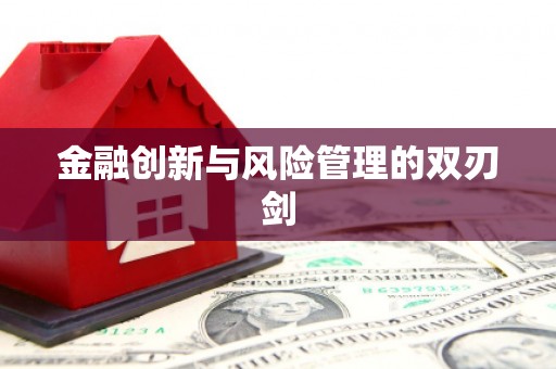乐亭金融创新与风险管理的双刃剑