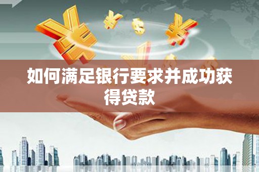乐亭如何满足银行要求并成功获得贷款