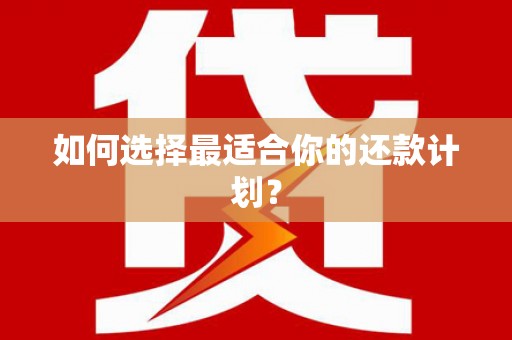 乐亭如何选择最适合你的还款计划？