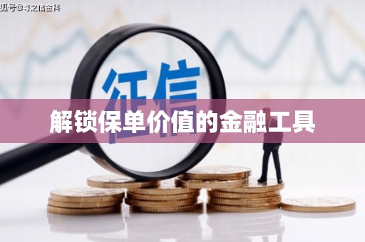 乐亭解锁保单价值的金融工具