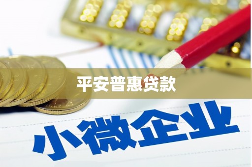 乐亭平安普惠贷款