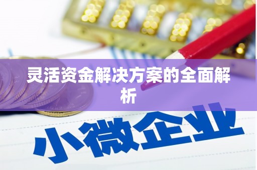 乐亭灵活资金解决方案的全面解析