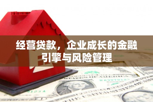 乐亭经营贷款，企业成长的金融引擎与风险管理