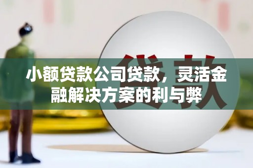 乐亭小额贷款公司贷款，灵活金融解决方案的利与弊