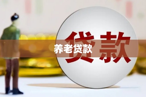 乐亭养老贷款