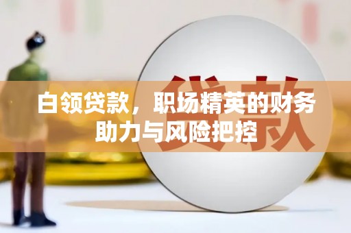 乐亭白领贷款，职场精英的财务助力与风险把控