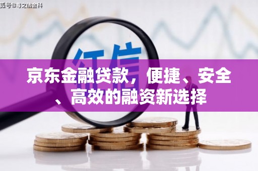 乐亭京东金融贷款，便捷、安全、高效的融资新选择