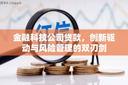 乐亭金融科技公司贷款，创新驱动与风险管理的双刃剑