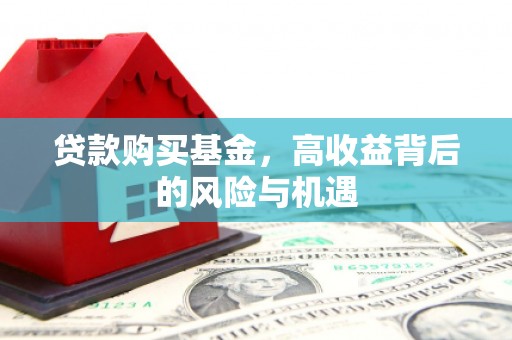 乐亭贷款购买基金，高收益背后的风险与机遇